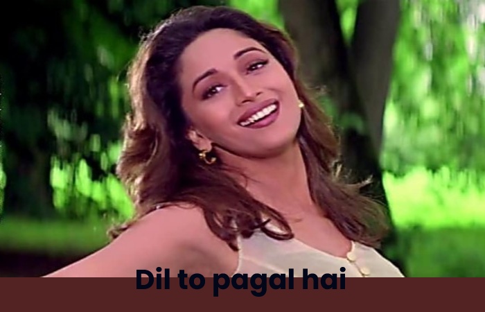 dil to pagal hai