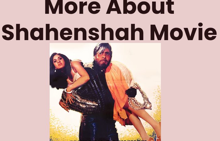 More About Shahenshah Movie