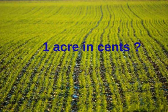 1 acre in cents