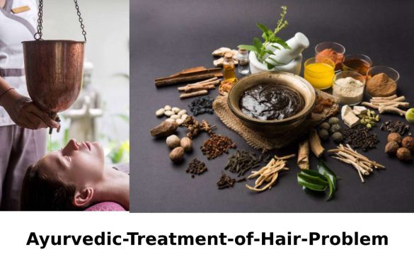 Wellhealthorganic.Com:Ayurvedic-Treatment-Of-Hair-Problem