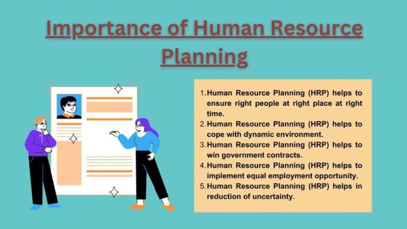 How Do You Create An Effective Human Resource Management Plan?