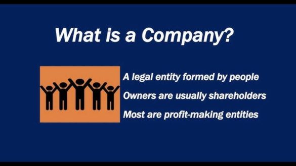 what is company? - Types, Security, and more